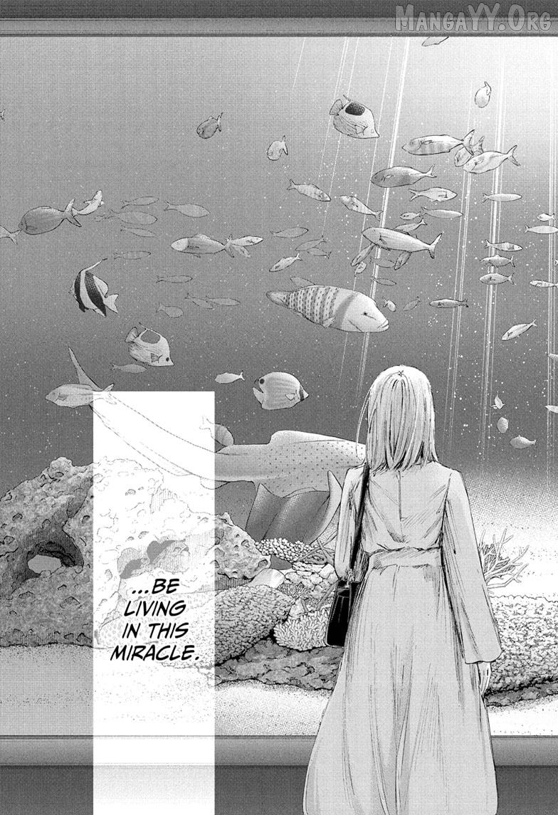 Blue Box, Chapter 235 image 13